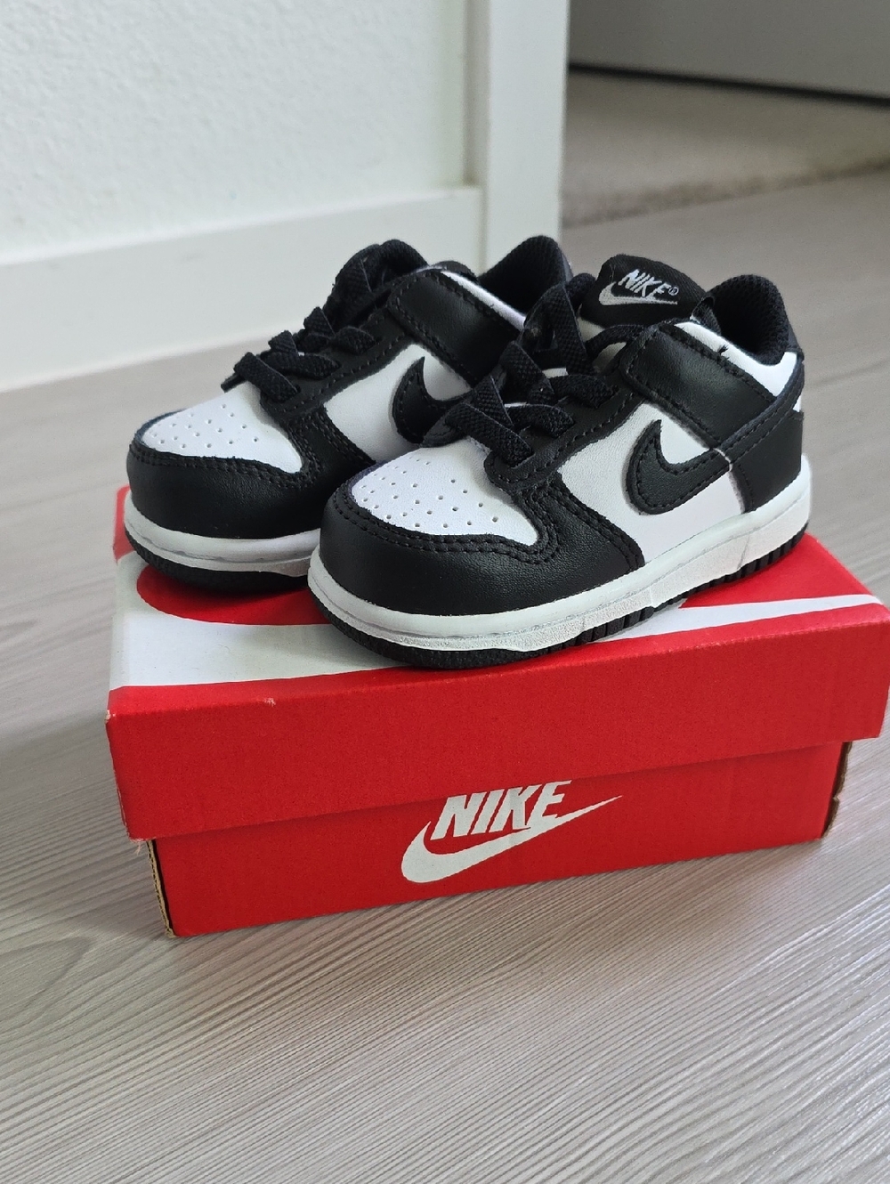 NIKE DUNK LOW (TED) 5c